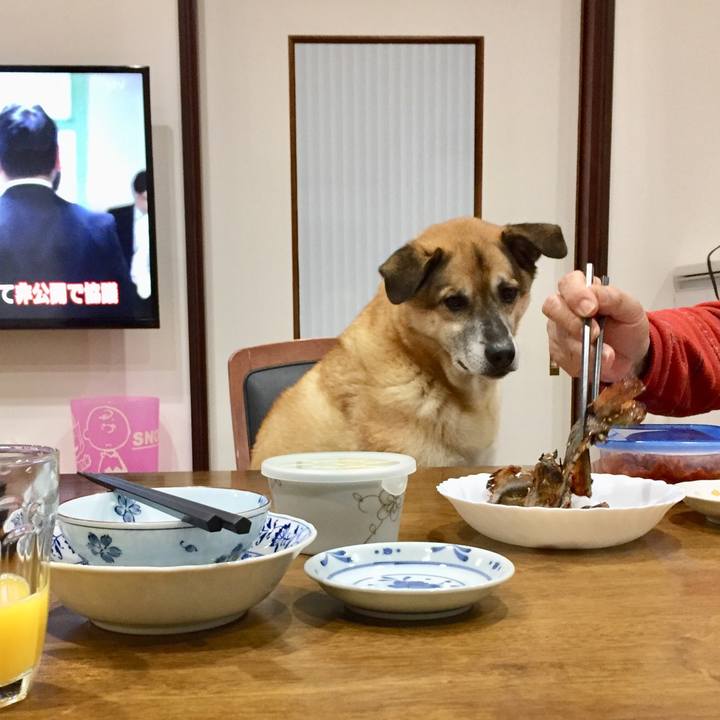 57c4d95e 51cf 4460 8964 a60b892bad15 1547198427790