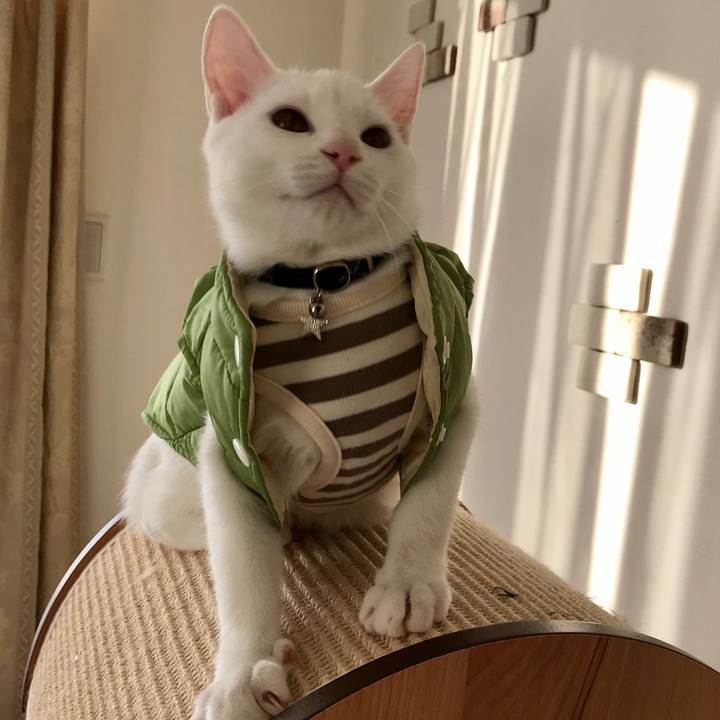 57c52970 5a5d 4e04 9df0 f9a8bb8ec47d 1573186576153