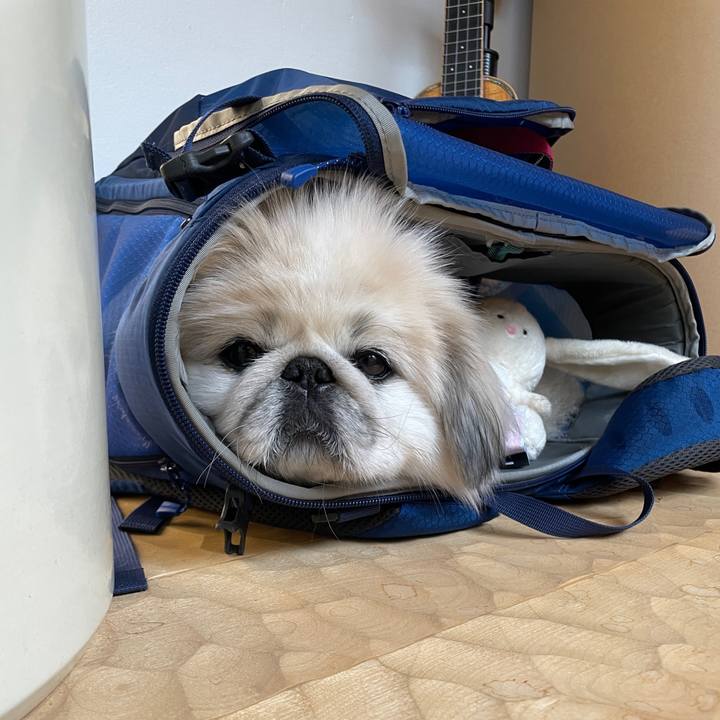 57c530fd 4849 4a26 95c6 2d773a62338a 1708696859792