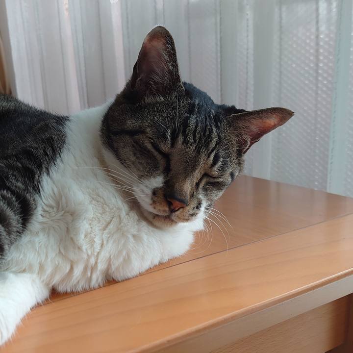 57c549d3 558a 4907 8564 f3c114532296 1725237474441