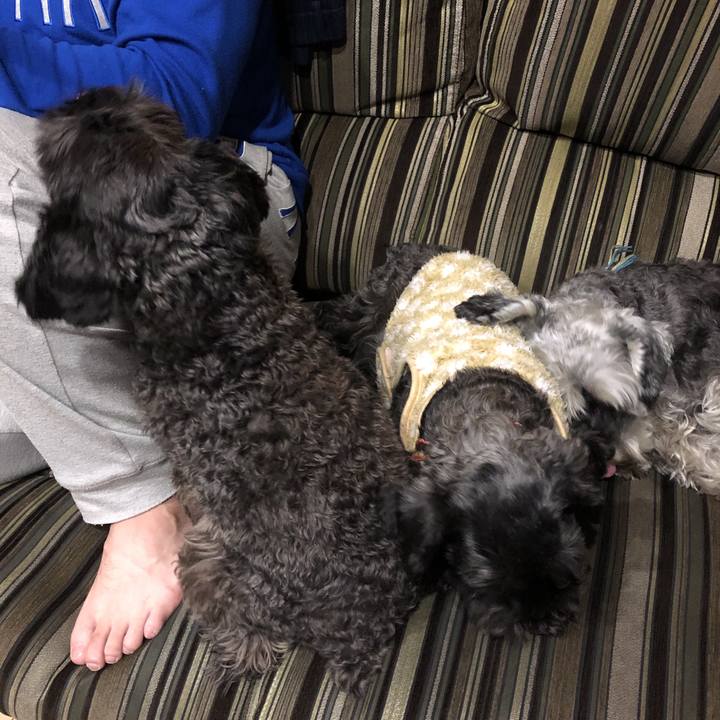 57c557fd 1af2 457c a769 7f1113b54853 1573305266020