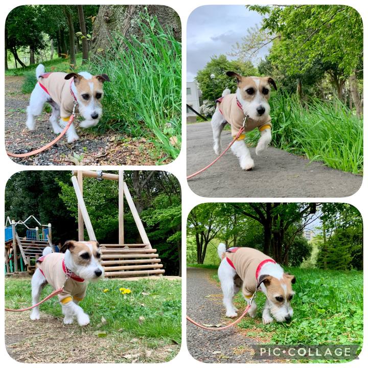 57c5ad06 fbb1 4138 aa06 54457b8c68b5 1618302842095