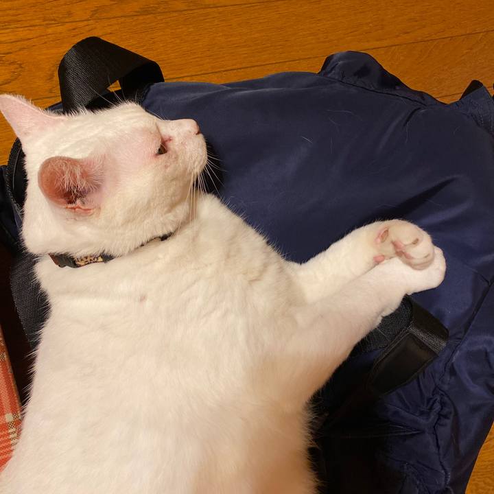 57c5cbd5 f1ad 4aa5 a68d 485c63452a39 1596450805318