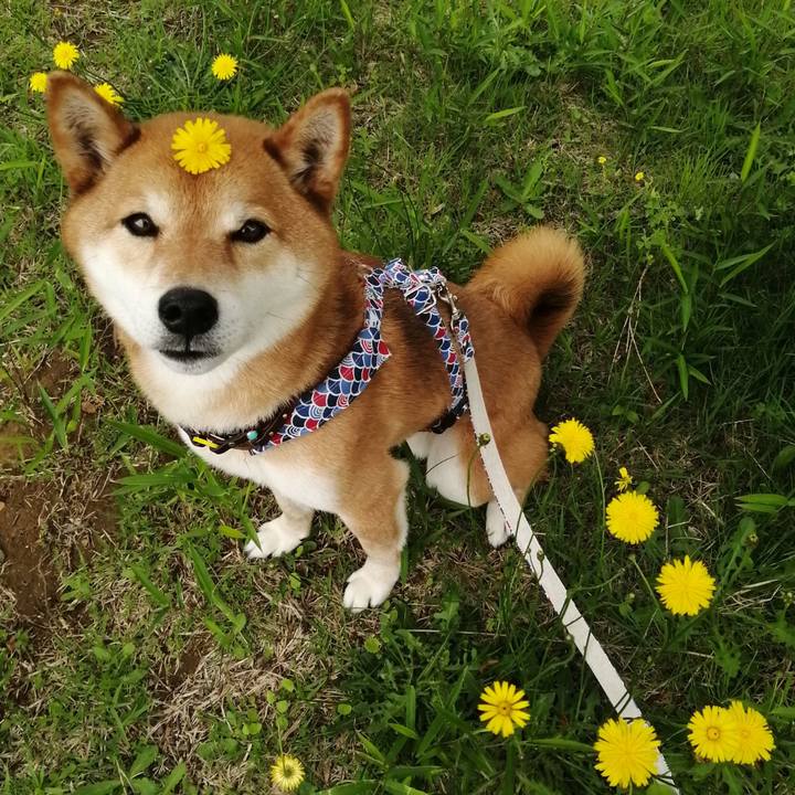 57c601b2 cc74 4113 9411 522b5377eb93 1621126449987