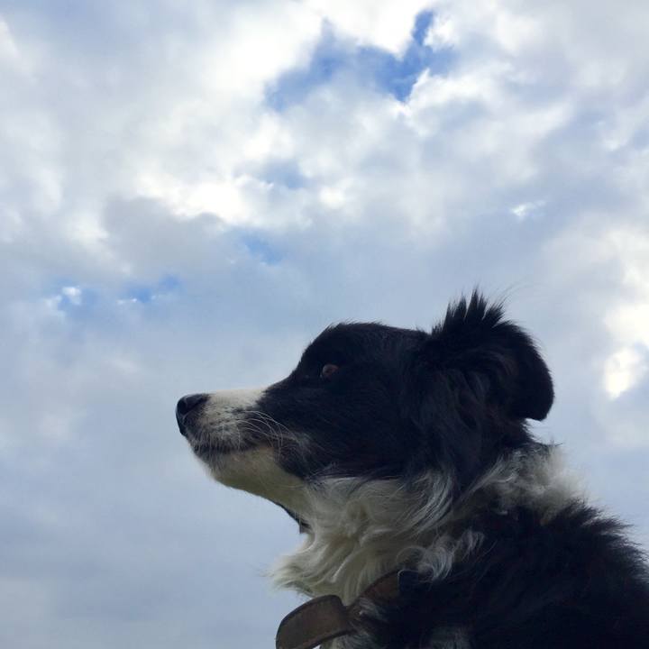 57c61261 e943 4232 b126 67fe107772f0 1544744190987