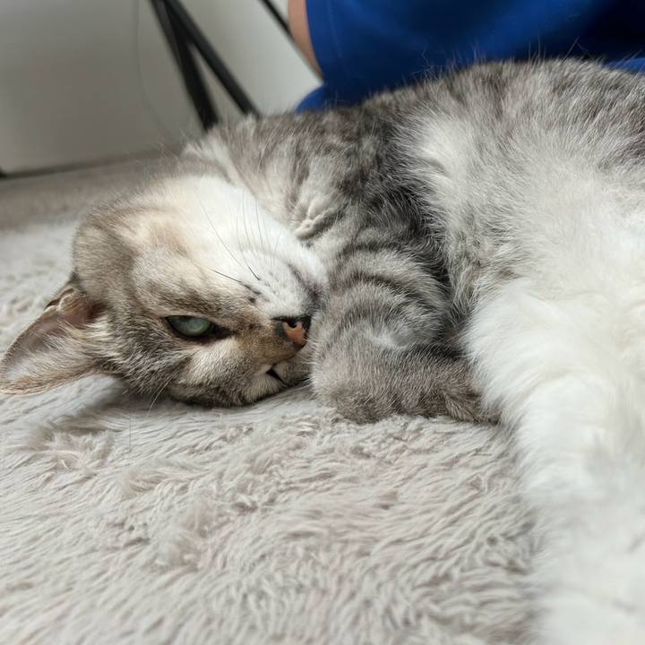 57c65d59 66ba 483f 8404 eccd4c7a603d 1759707335385