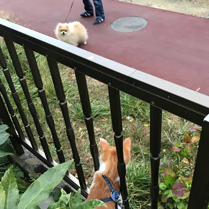 57c65f39 fabe 49ac b58c 35593e8c69db 1510742698372