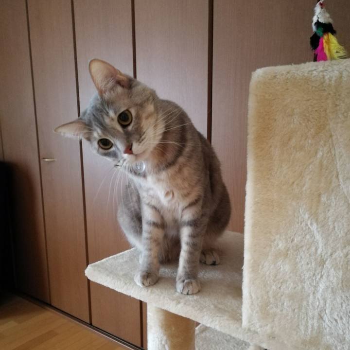 57c67c4a 6774 42b1 b678 b0db13b9164b 1516504127460