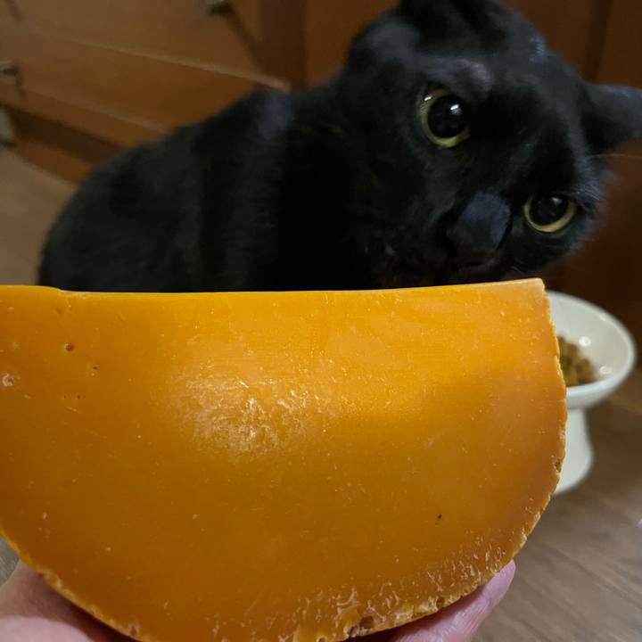 57c68017 5ad9 4634 b585 af83933b74d6 1690900516729