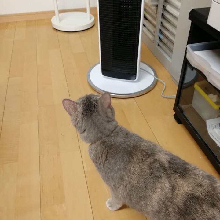 57c68313 0367 4e0b 843c fd6ff42447dc 1539238696974