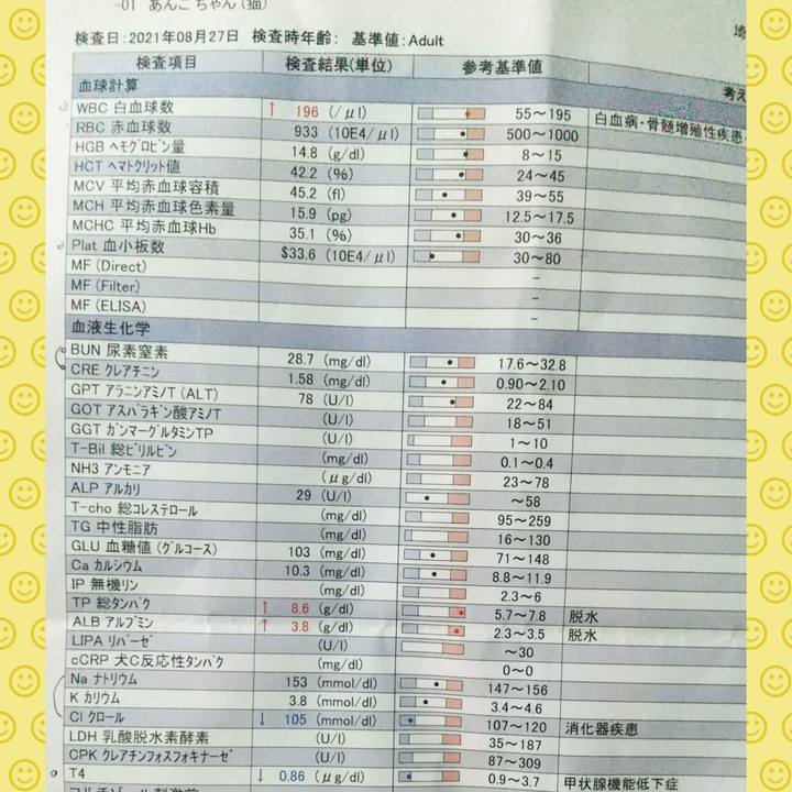 57c6aa56 dbdb 48e6 98c9 4ef9877e55f9 1630050894967