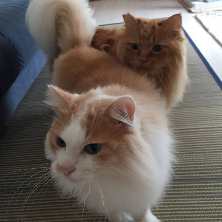 57c6c08d 8e98 4d75 8f14 313f7a1eb6ea 1534025640345