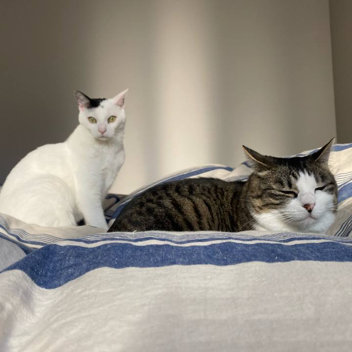 57c701aa 645a 47aa b0db 7aa820e99328 1739154441027