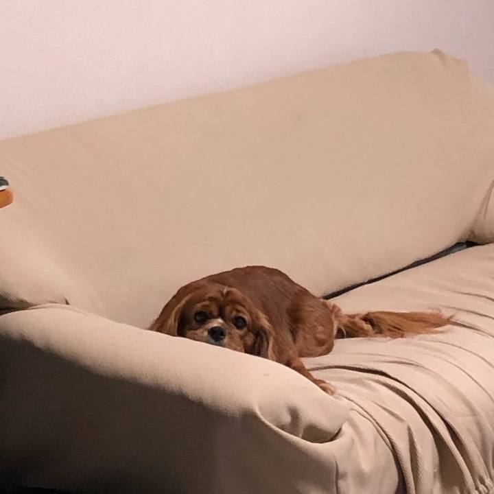 57c703f5 c063 4c7c 909f 94c88e24c80b 1602109678748