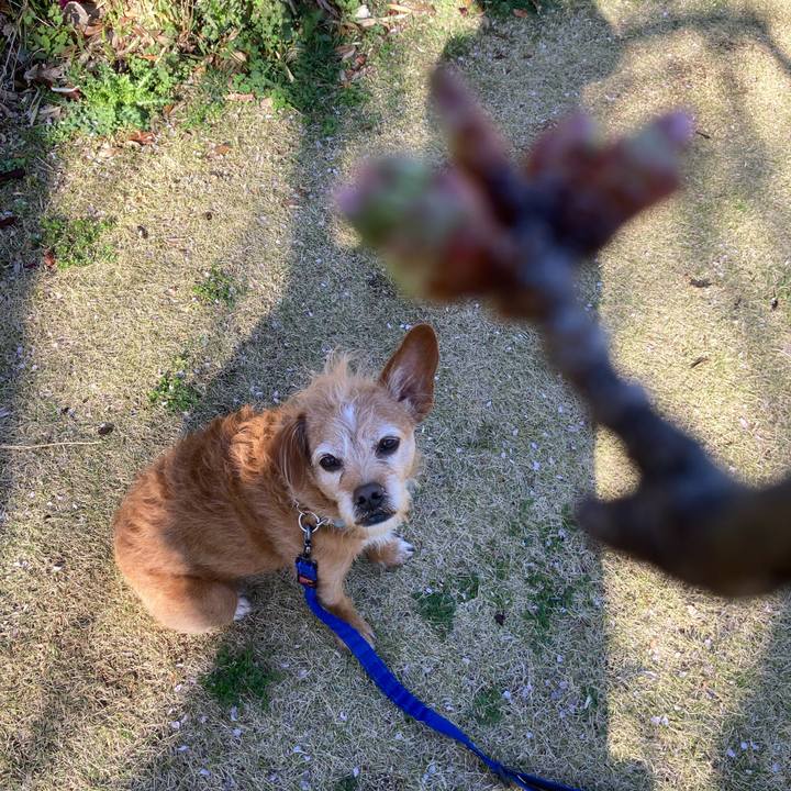 57c720c6 5774 483a 945d 86752166103b 1711695853966