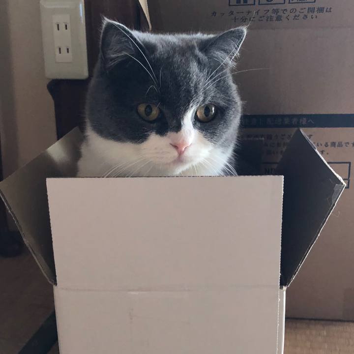 57c72d71 2b14 4d7a b81d 2120e1e38477 1573280033189