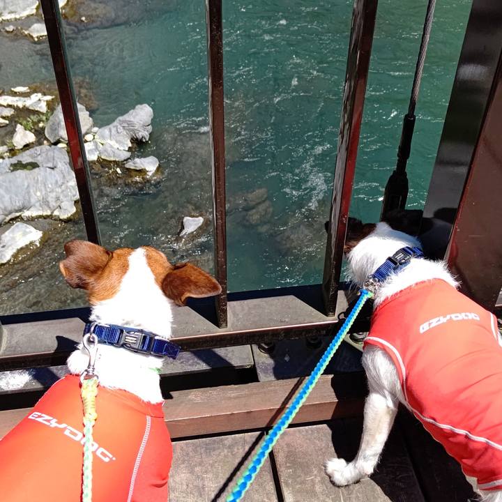 57c75f2c ff3b 4712 87b1 4ecbd07eba5d 1626517933293