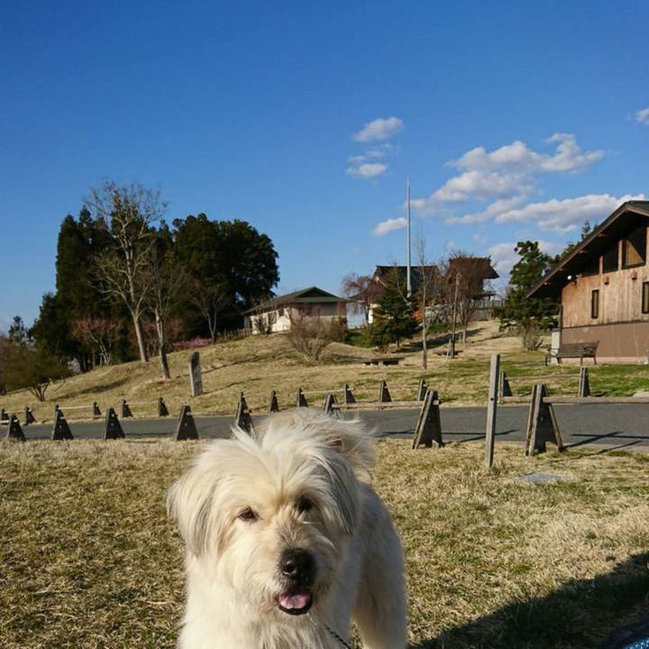 57c789f5 0fd1 4755 8ecf 61a421472239 1647421152518