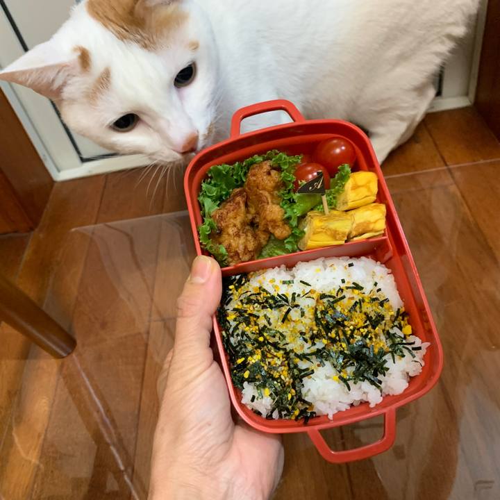 57c7a175 8739 4249 be6c 5b8bcf0ed2fa 1643839203999