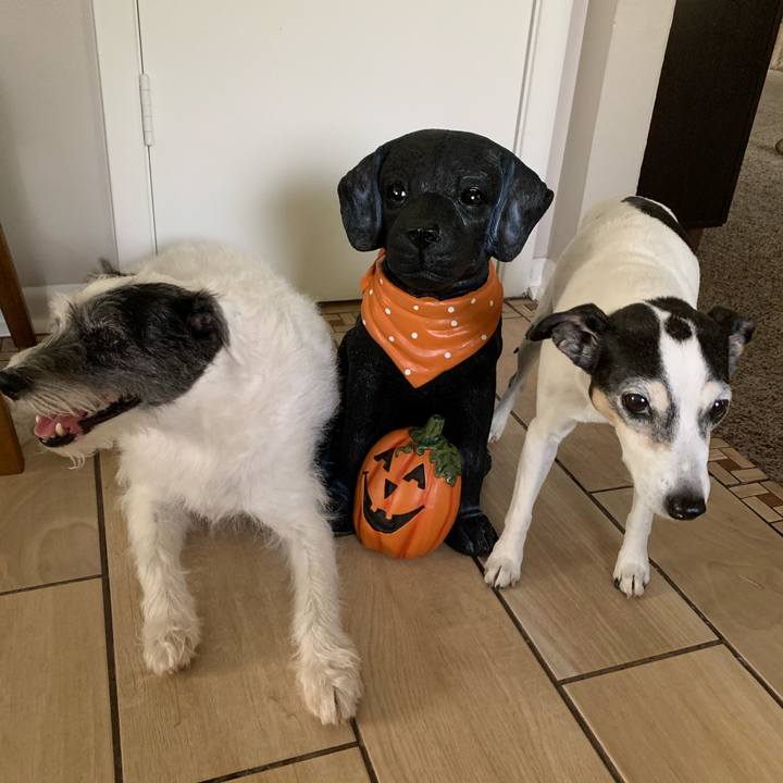 57c7af53 fef5 438b 8ccd 4c4727c35b6c 1600467257814