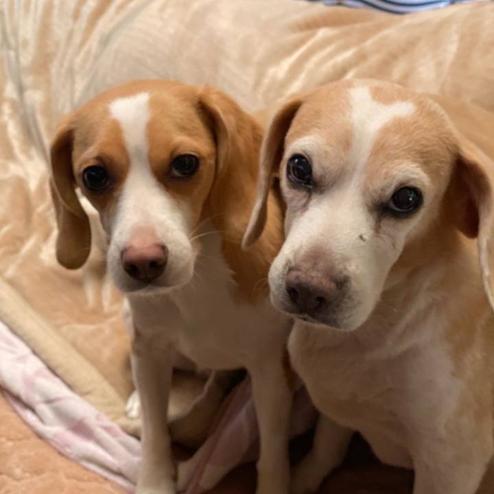 57c7b101 7c5a 4125 9b12 79a8402f99d3 1580719855080