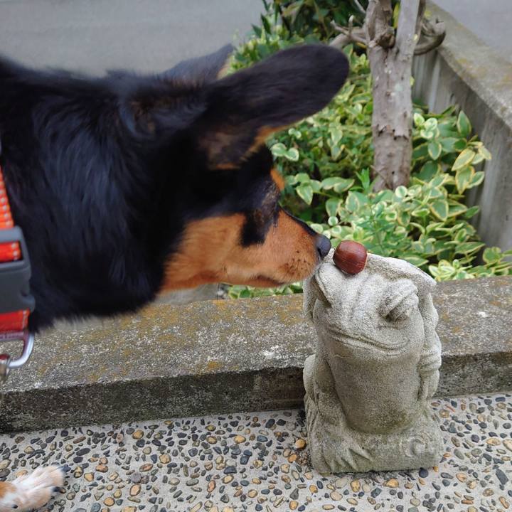 57c7b14c 7d6a 417b a964 9c077033cfe2 1759800689114