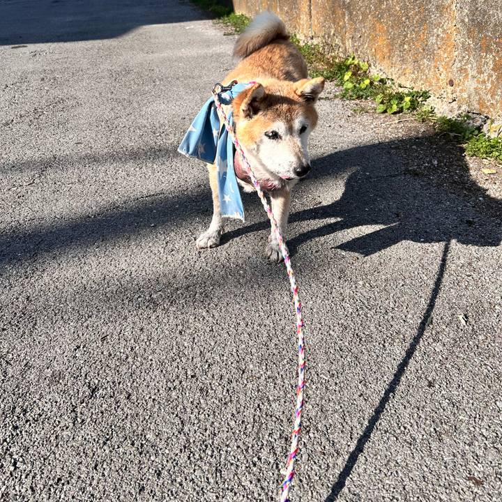 57c7c2ac 87f1 402b aa7e e2e3e78d27b6 1763945178803