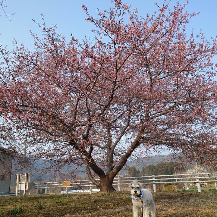 57c7cc3b dd5f 4476 9b9f 15bf44645210 1774745871800