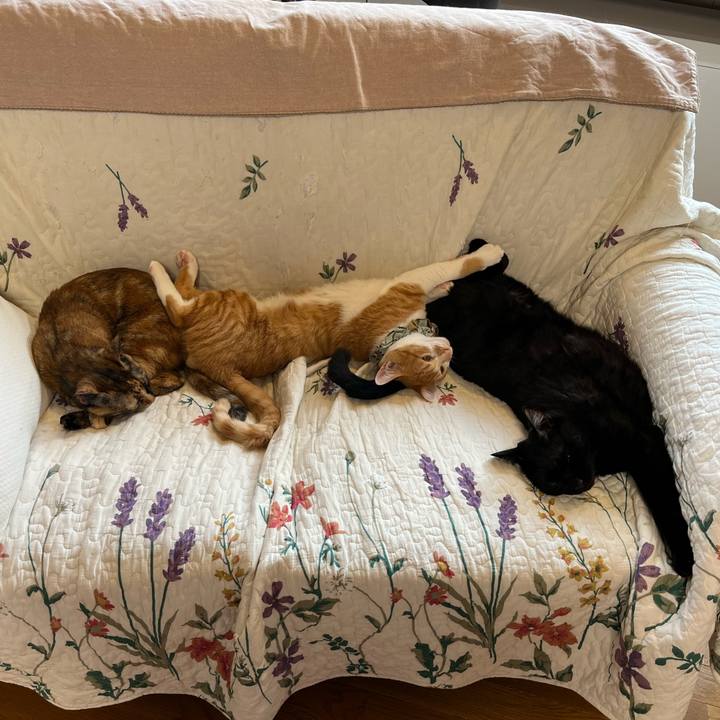 57c7da63 f126 4978 80a7 76c195ae8b58 1669520622754