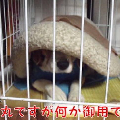 57c7fbc5 1b66 4096 816c aeaf6328f736 1704412824179