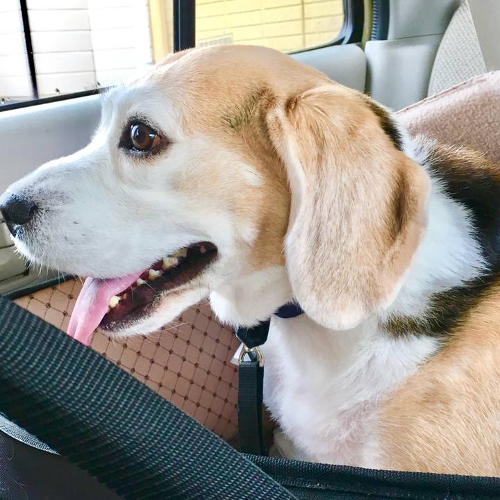 57c82790 a672 49af 90e6 d3a4217a298c 1765959764396