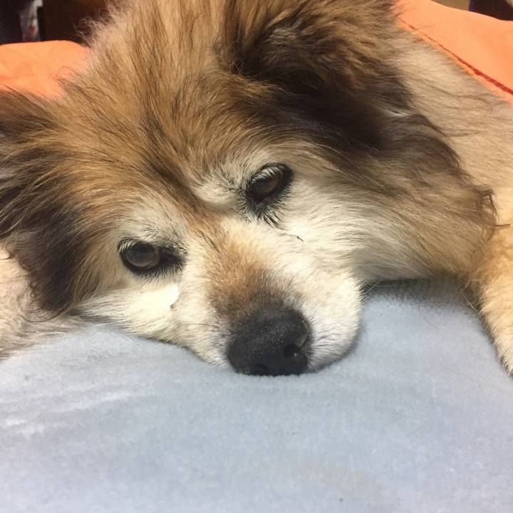 57c82aab d83e 486f 80ee c1702a11ad83 1616554541176