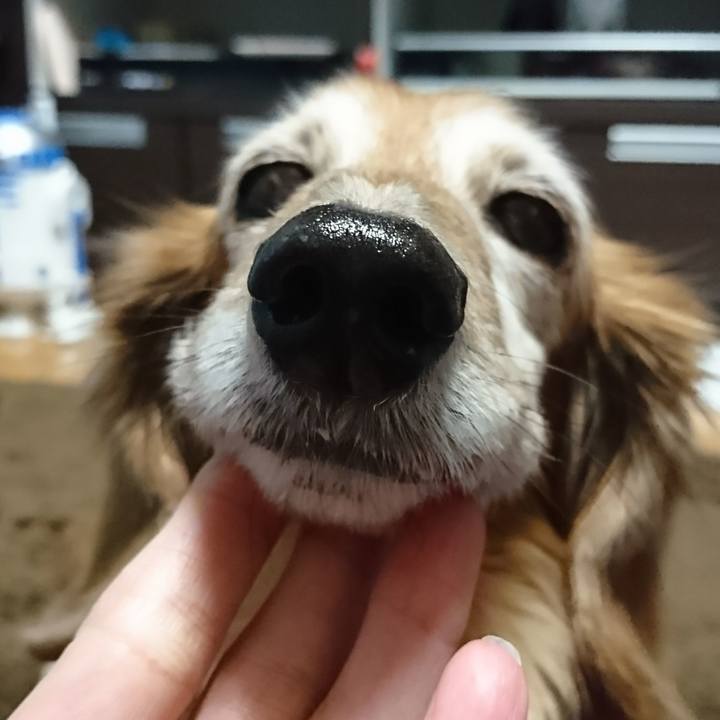 57c834bc 6a23 4034 a429 379c10deec6f 1517130525171