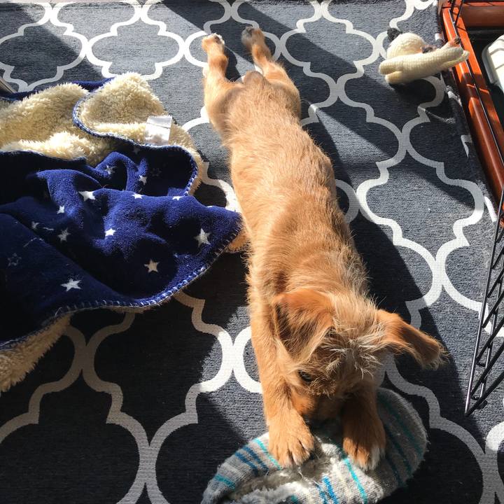 57c834d8 4cdb 4be5 bc6d 39cd52bc53a9 1520810921122