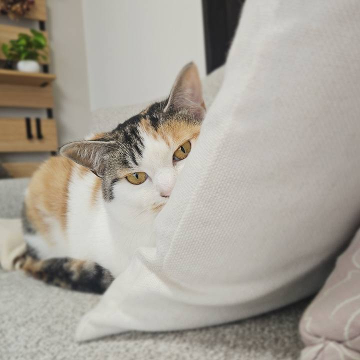 57c83977 2b7a 498d b450 e25f9e59ef1a 1773018114860