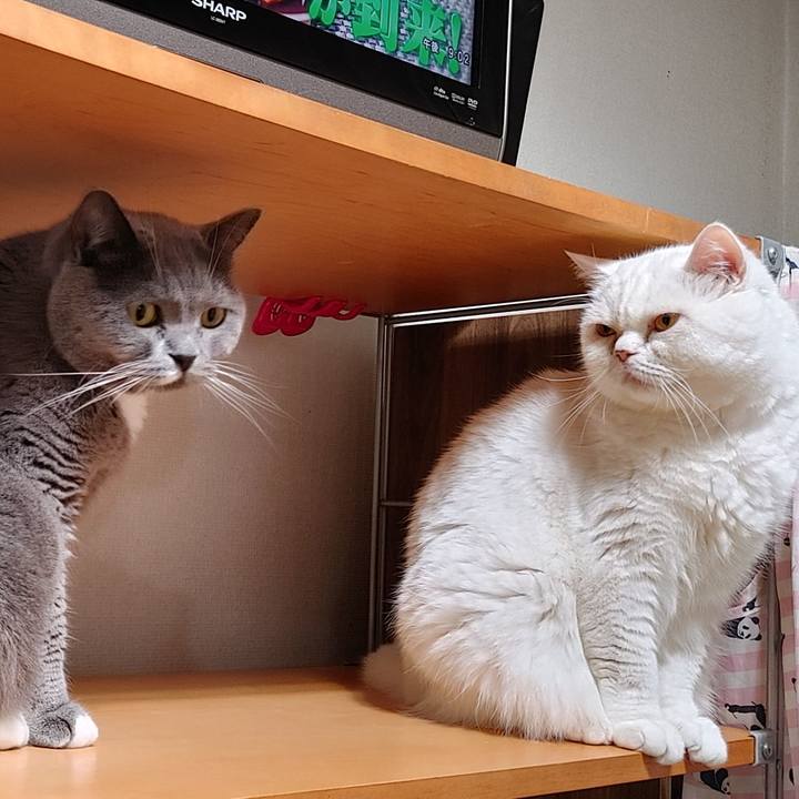 57c86689 2f55 4110 b61f b7fb09ff7714 1632835633142