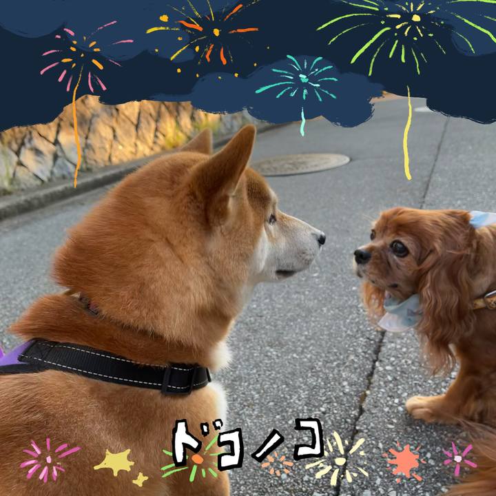 57c886c9 e4b7 47ca b5cc 902fd88d912c 1723244329245