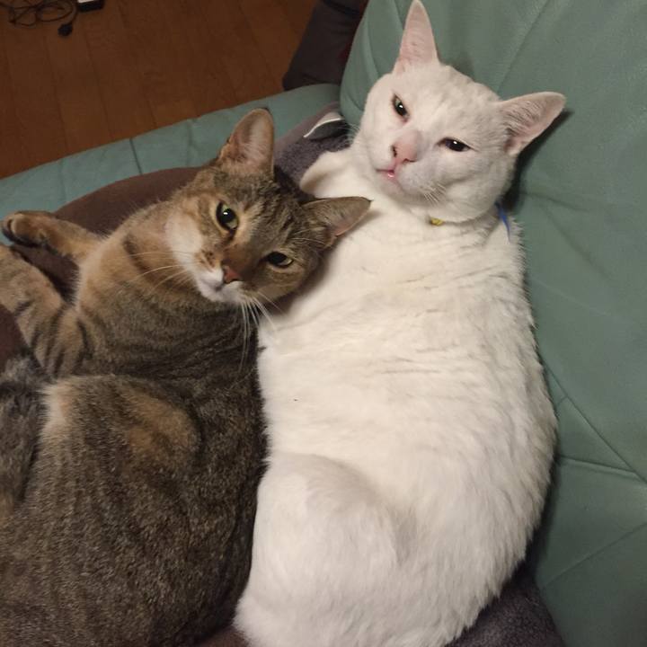 57c89b5b 301c 4d69 b0b5 6cfbd81052fa 1571347174867