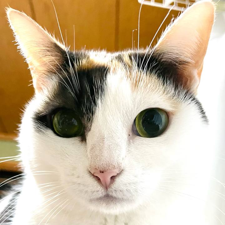 57c8d32f eeff 4f81 9fb4 e69f78e7616a 1640054621294