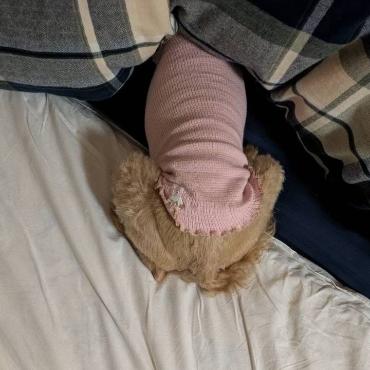 57c8d628 2f29 4575 8c72 480174eb4fbb 1764670062593