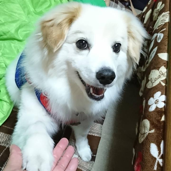 57c8eb8e 4452 4e65 b927 0d2ce6615b20 1646822725203