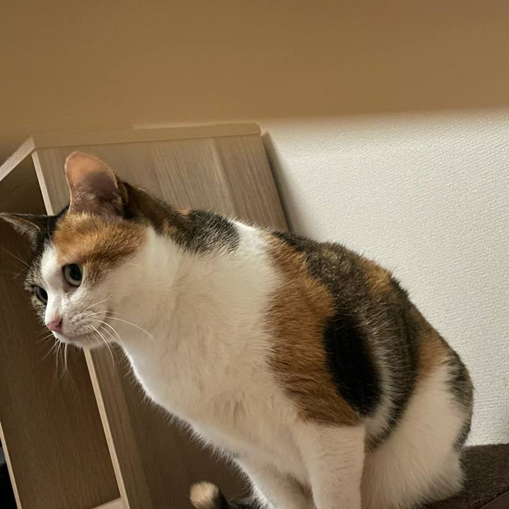 57c8edbd c41e 4c39 bf00 7dddbd4e98b5 1677490585641