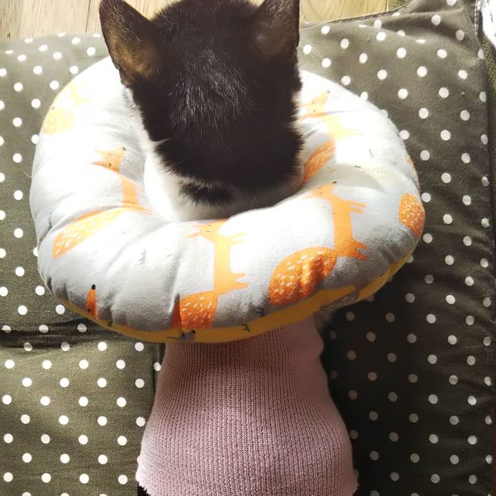 57c9535e c9cb 4e10 b77a c8b5363f37b8 1607486507747