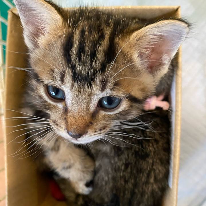 57c98bbc 351b 47c2 9e5f 22f695025033 1616303567132