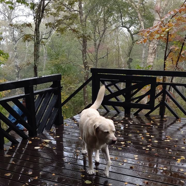 57c99df7 dce4 46e7 82be 94f893b25a75 1665365449516