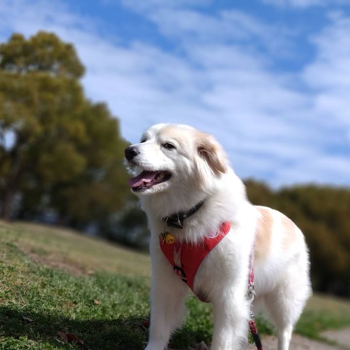 57c9a1df 6018 4394 8ee3 61a2296aeb23 1648076295292