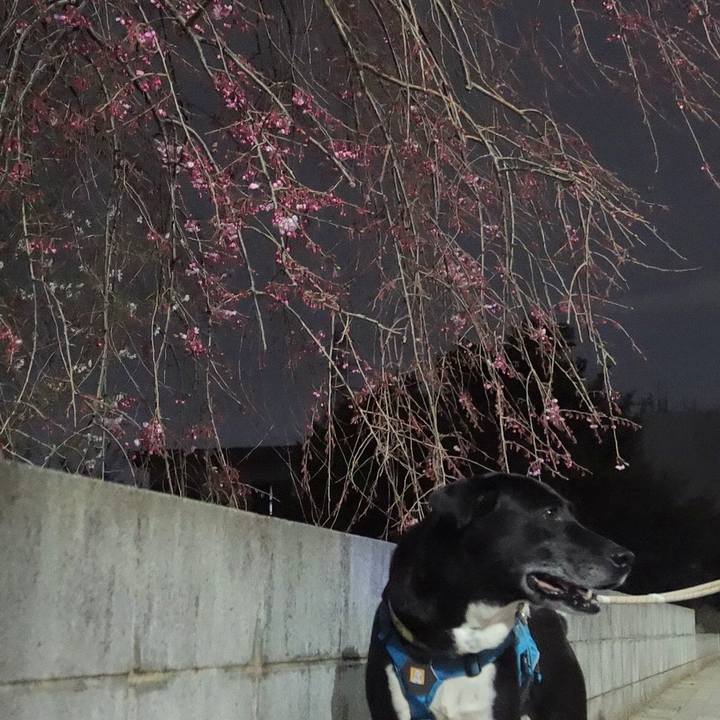 57c9a5e1 7449 4c50 aa4b 52f922c14a3f 1679397497350