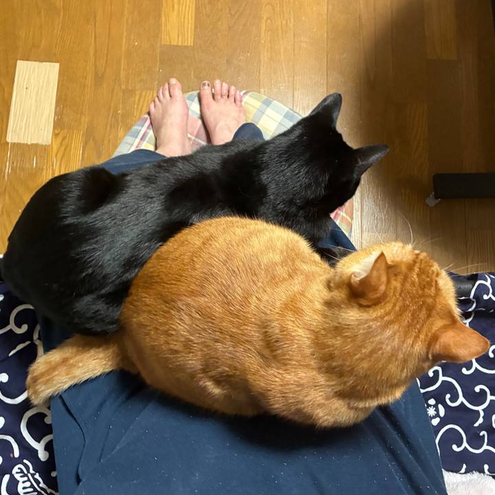 57c9ac37 097d 4d9b a3f4 4eb3a659696a 1762599388209