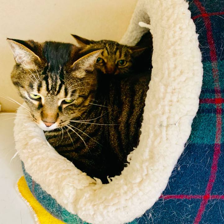 57c9ad95 0392 4293 8ac9 15332c2c3618 1556363970721