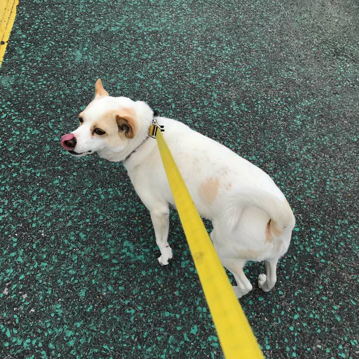 57c9dd4d 0d42 4eaa 9092 c0b4326088c6 1588304097255